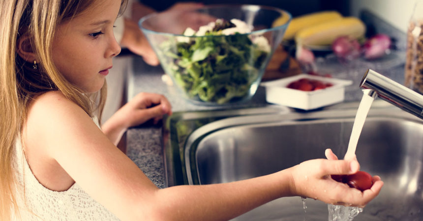Entenda porque as altas temperaturas aumentam o risco de intoxicação alimentar