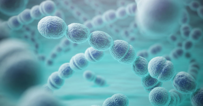 pneumonia pode ser prevenida pneumonia pode ser fatal, mas é possível prevenir