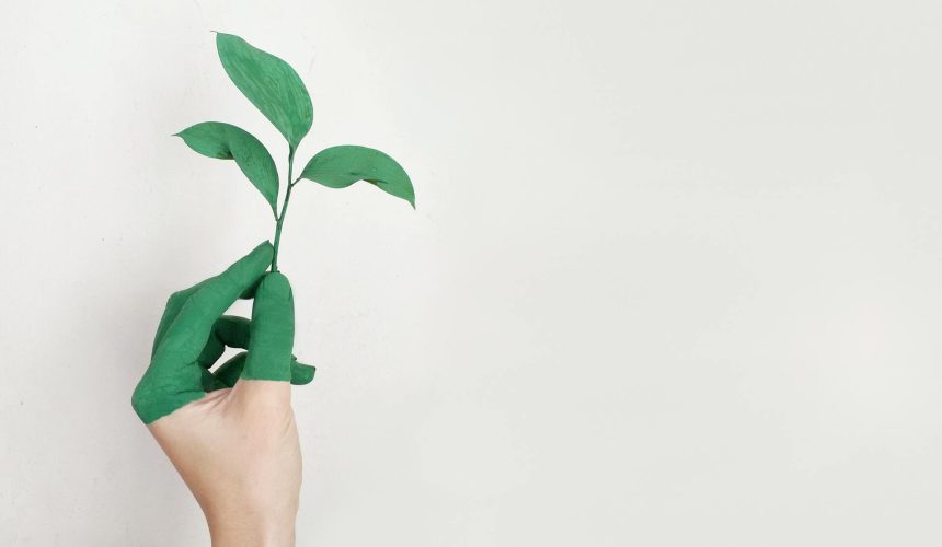 Cuidar do meio ambiente é investir na própria saúde  e qualidade de vida